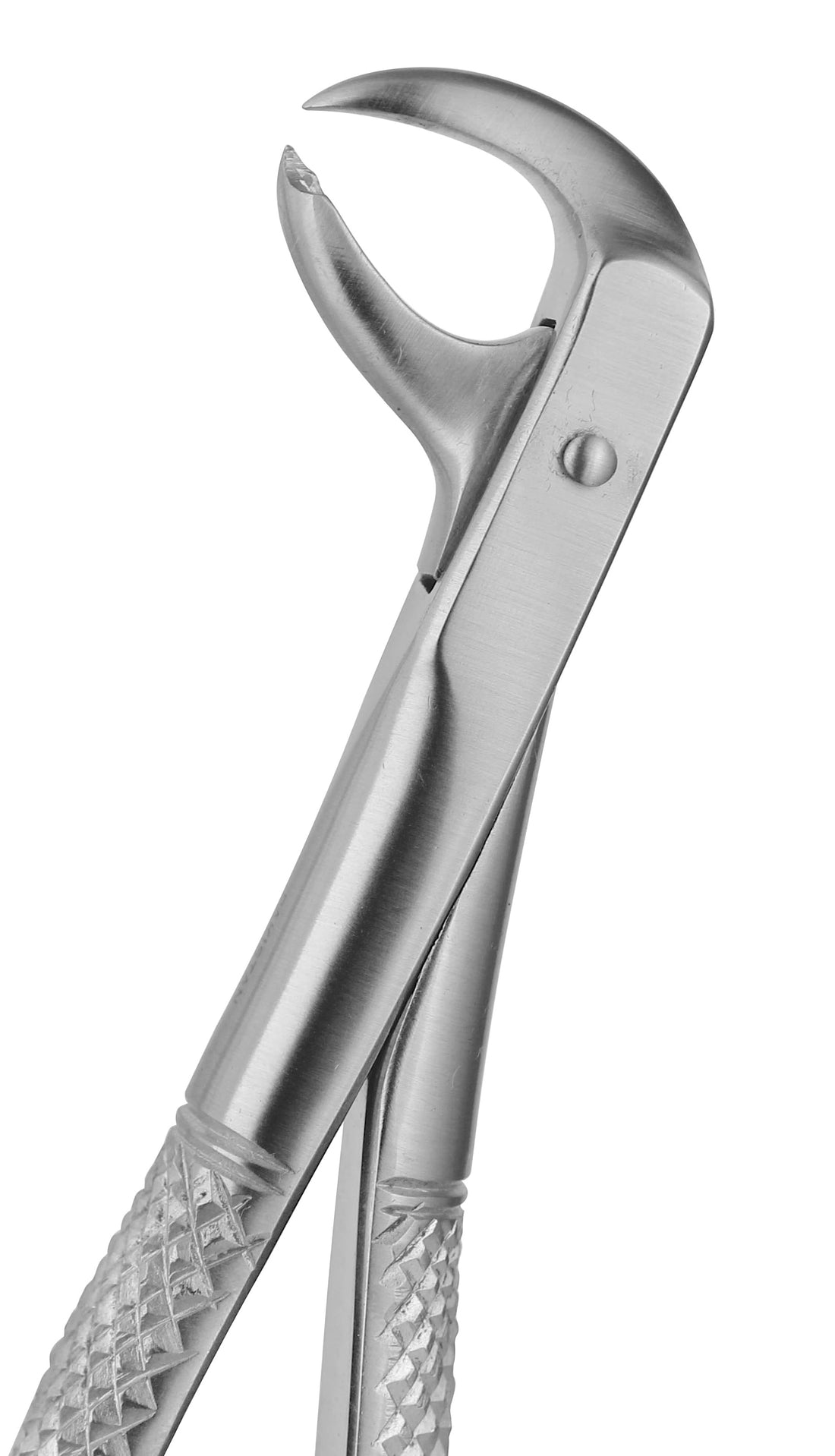 Extraction Forceps 099E