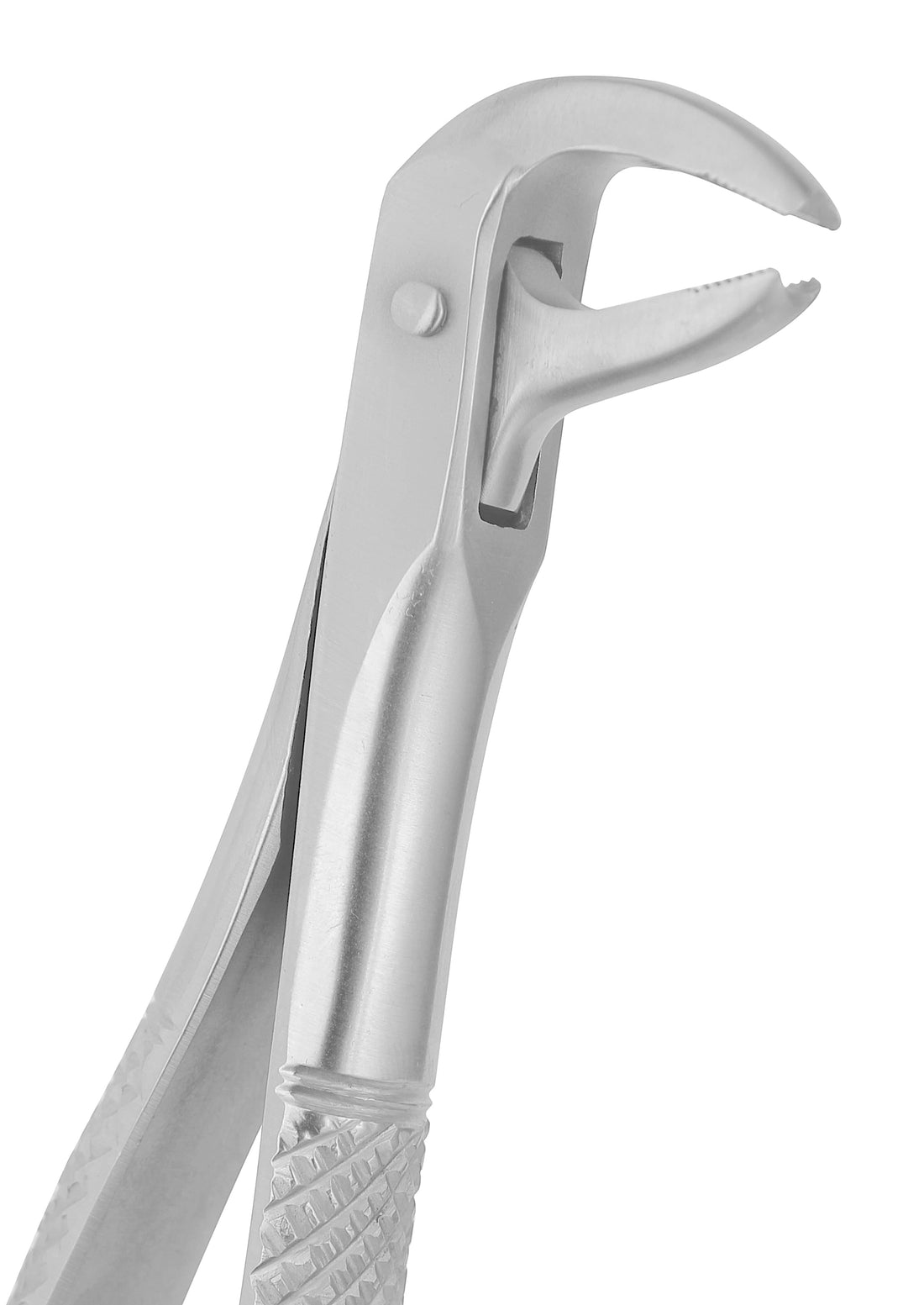 Extraction Forceps 169